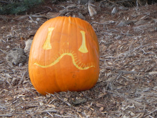 Welcome smile, Nipomo Pumpkin Patch, carving idea